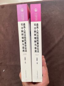 最高人民法院民事诉讼法司法解释理解与适用 上下