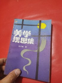 美学沉思集（一版一印）