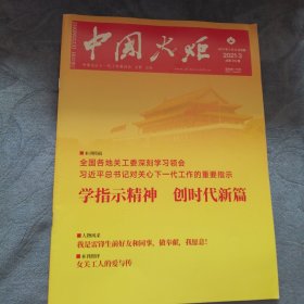 民易好运：河南新乡五老筑梦美丽乡村建设雷锋同事冯正其否雷锋精神传承者白发引路人江西段华胜山东日照司法局共筑法治梦～中国火炬（2021年3期）