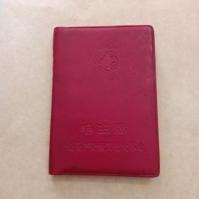 写过字日记本，毛主席论无产阶级文化大革命，插图3张