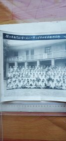 少见特大1981年镇江市南门小学毕业合影有底衬