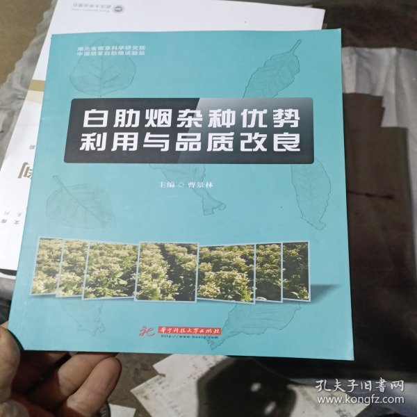 白肋烟杂种优势利用与品质改良