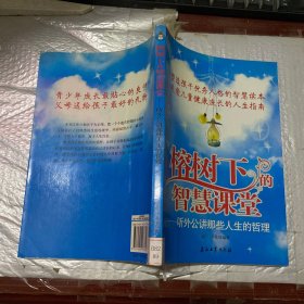 榕树下的智慧盛宴：听外公讲那些人生的哲理