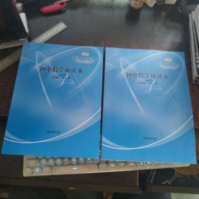 北京十一晋元中学 初中数学III读本（九学段上下册，两册合售）