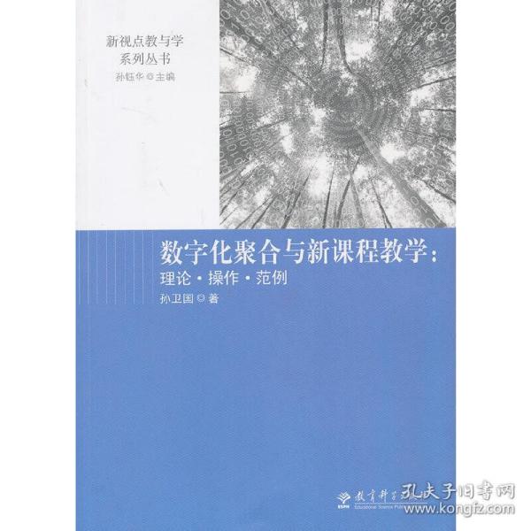 数字化聚合与新课程教学 : 理论·操作·范例