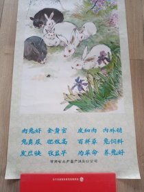 早期80年代年画宣传画--3开-甘肃省土产畜产进出口公司--养兔