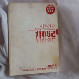 杜拉拉升职记