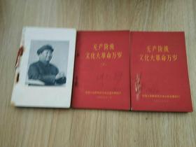 无产阶级*****万岁 一，二，三（合售）第三没封皮