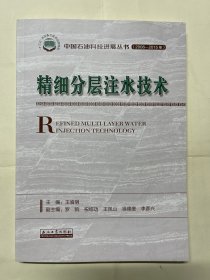 精细分层注水技术 正版现货未翻阅