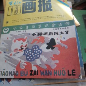 小猫不再玩火了