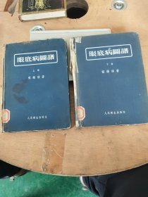 眼底病图谱(上下册)