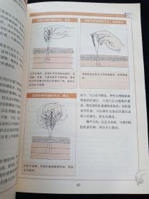 图解针灸大全（精编家庭版）