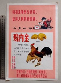 【老广告画/商标画/招贴画】浙江省商业局医药公司革委会宣：积极采集野生药材，保障人民用药需要-大量收购:鸡内金（25.5cmX38.5cm，约8开大小）