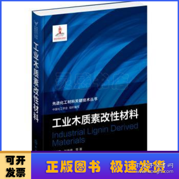 先进化工材料关键技术丛书--工业木质素改性材料