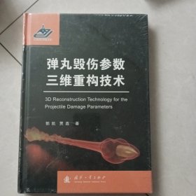 弹丸毁伤参数三维重构技术