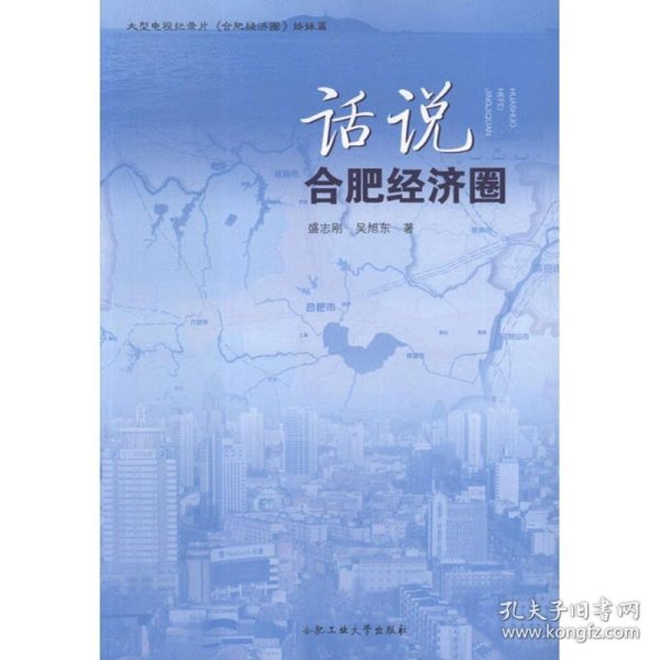 话说合肥经济圈 盛志刚,吴旭东 正版图书