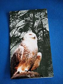 1995-5鸮邮票盖首日戳 邮折