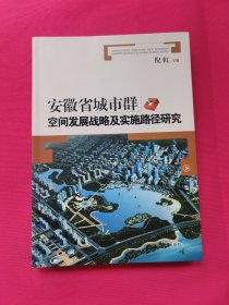 安徽省城市群空间发展战略及实施路径研究