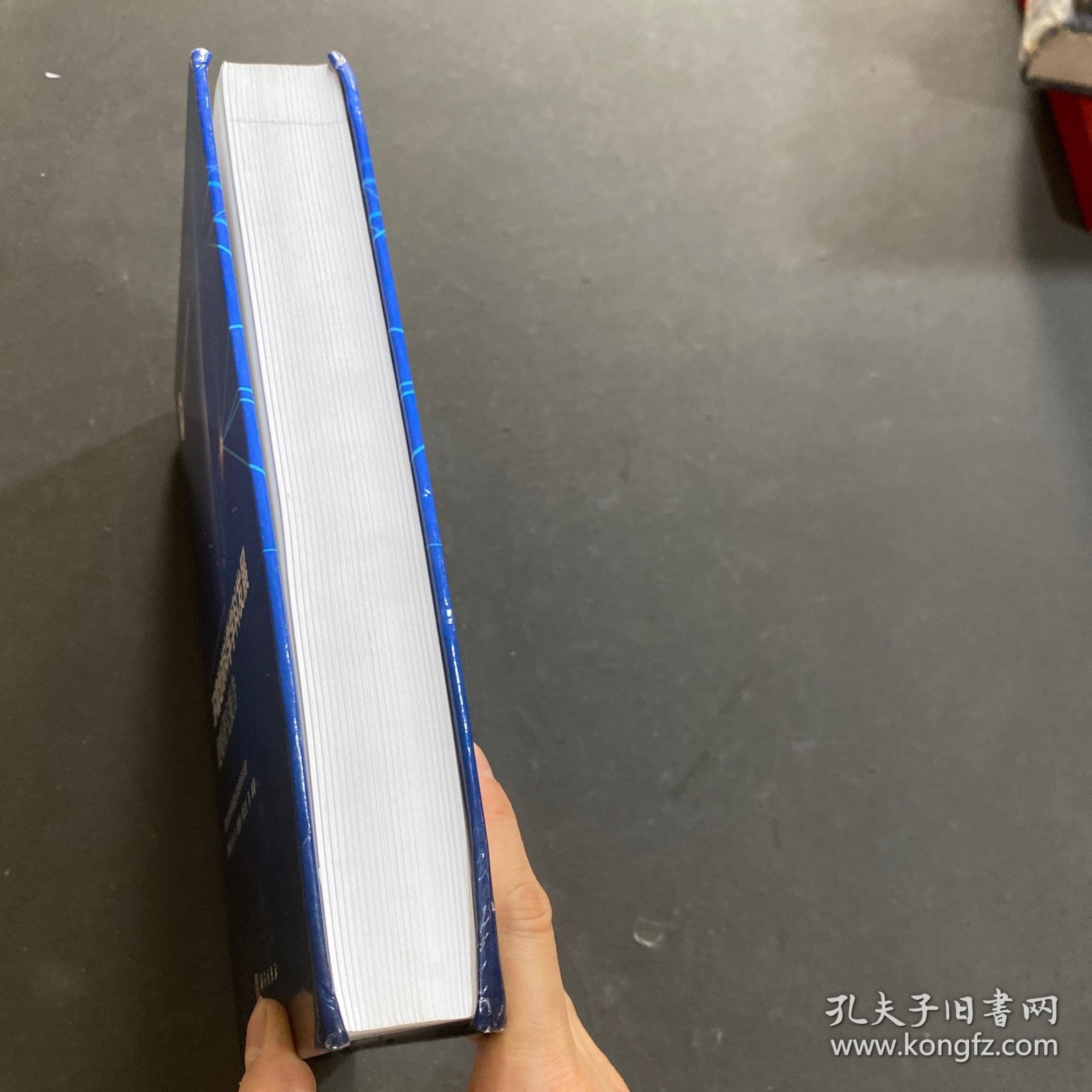 环境地球科学学科发展战略研究报告