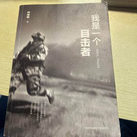 我是一個目擊者b2
