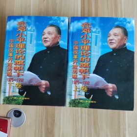 在邓小平理论的旗帜下——中国改革开放历程（1975-1992）上下卷全