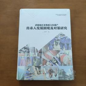 武陵地区非物质文化遗产传承人发展困境及对策研究