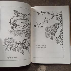 墨点字帖芥子园画谱（白话文版） 梅菊谱  正版梅花的画法学国画
