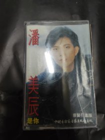 07 潘美辰 是你 磁带