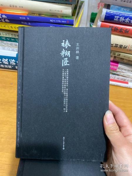 微阅读大系·王开林晚清民国人物系列：裱糊匠