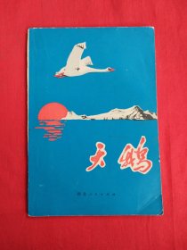天鹅（包邮）