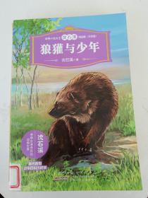 动物小说大王沈石溪精品集（注音版）·狼獾与少年
