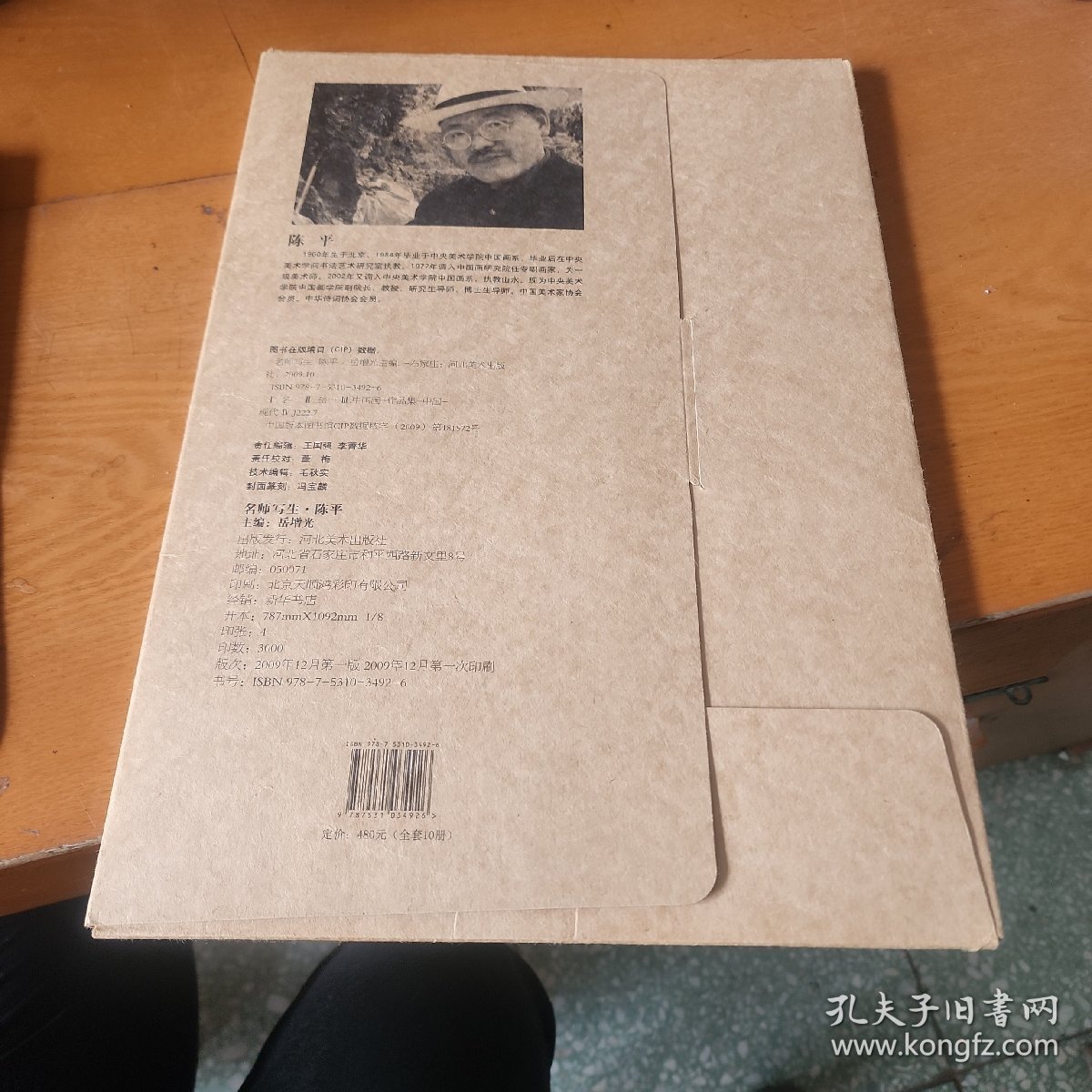 名师写生－陈平竹枝写生