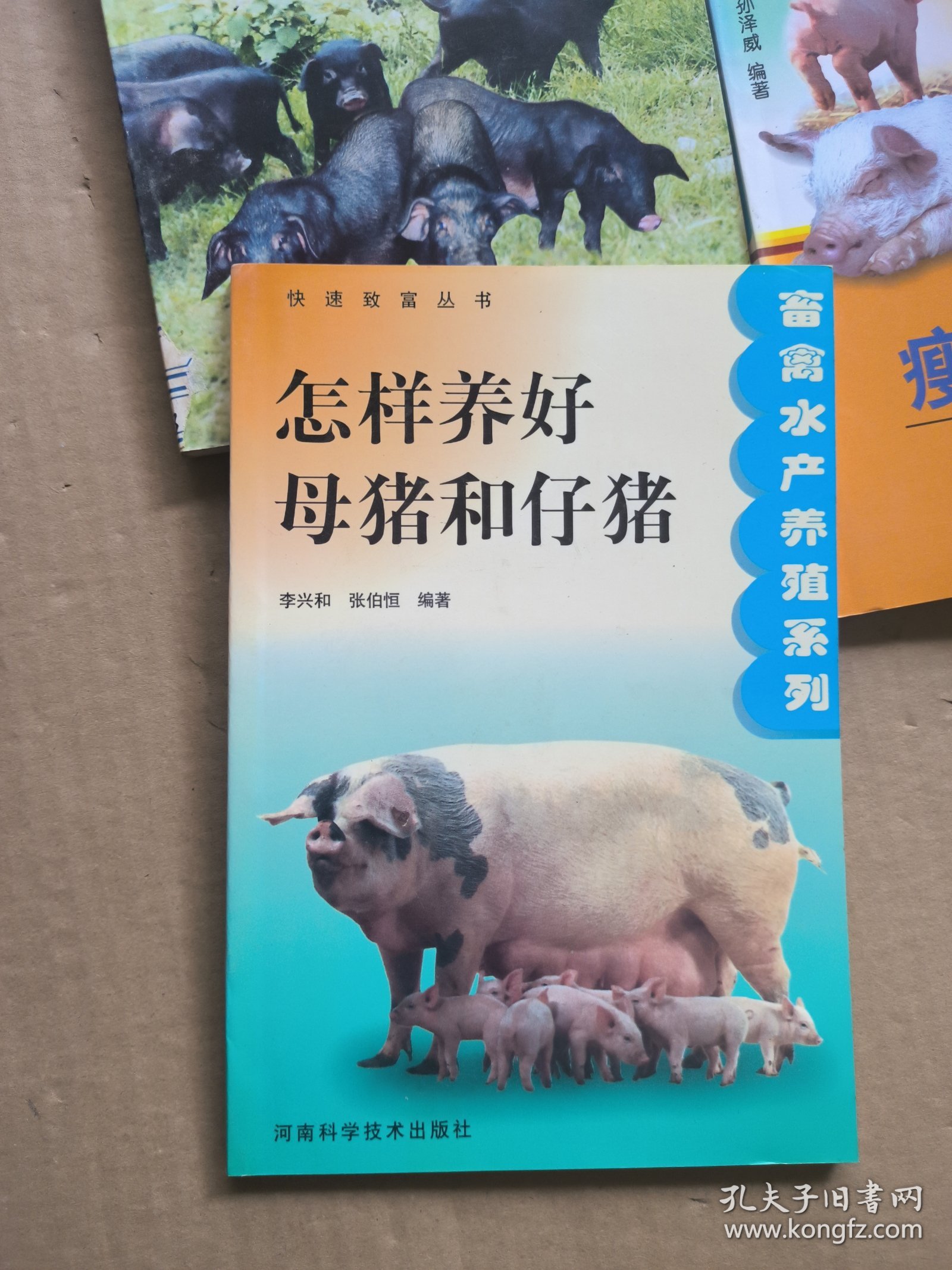 怎样养好母猪和仔猪——快速致富丛书·畜禽水产养殖系列