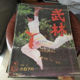 武林杂志 1988年( 全12册缺1.3期十册合售)