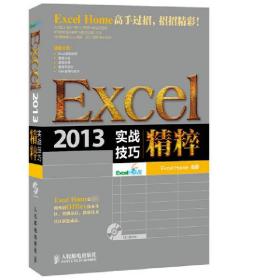 Excel 2013实战技巧精粹