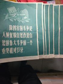 除四害苍蝇蚊子老鼠是传播疾病的媒介/宣传语录(共8张，四种内容，每两张一个内容)