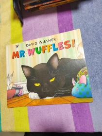 Mr Wuffles! [Paperback] 华夫先生！（2014年凯迪克银奖、大卫-威斯纳新作品）