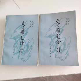 文心雕龙译注