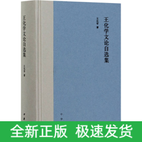 王化学文论自选集
