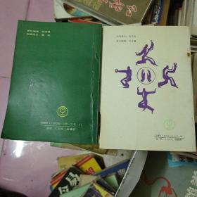 Ⅹ-33 《少林正宗气功》《少林点穴法》