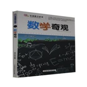 【假一罚四】奇迹数学世界-数学奇观周阳主编9787538568882