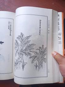 芥子园画传（第四集），