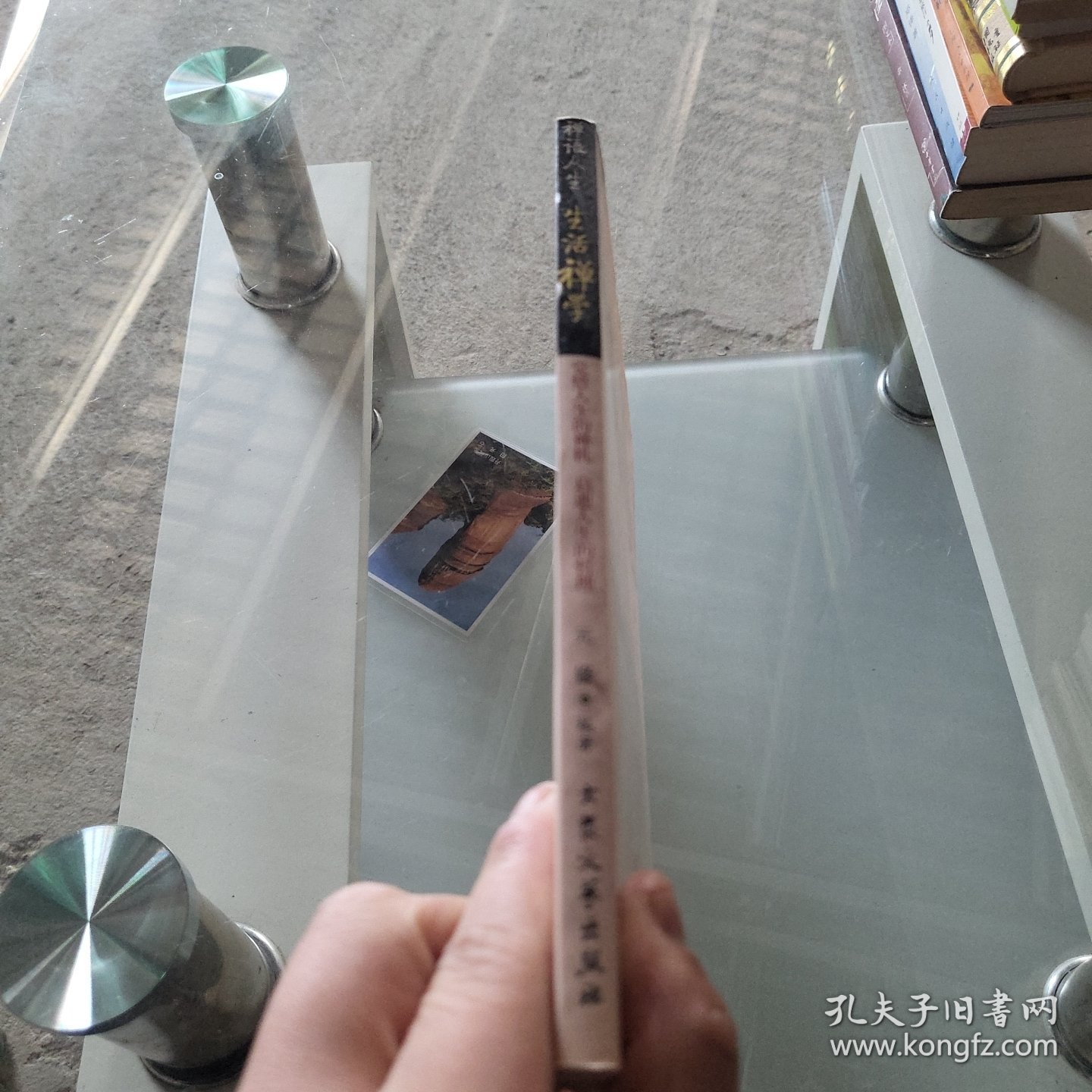 生活禅学