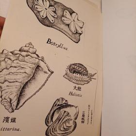 武汉大学刘宝联教授家流出底稿等资料一包（原装在一个大信封里 ）