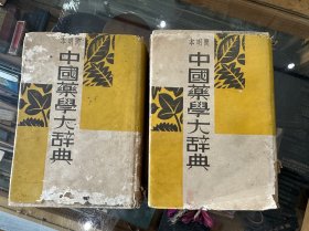 民国26年初版《中国药学大辞典》简明本 小32开精装2厚册一套全 主编陈存仁（现价包邮）