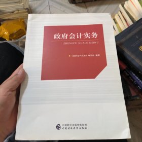 (少量划线)政府会计实务