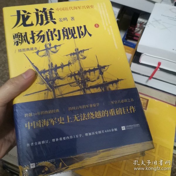 龙旗飘扬的舰队：中国近代海军兴衰史