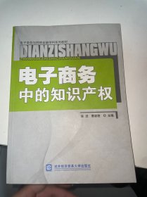 电子商务与网络金融学科系列教材：电子商务中的知识产权