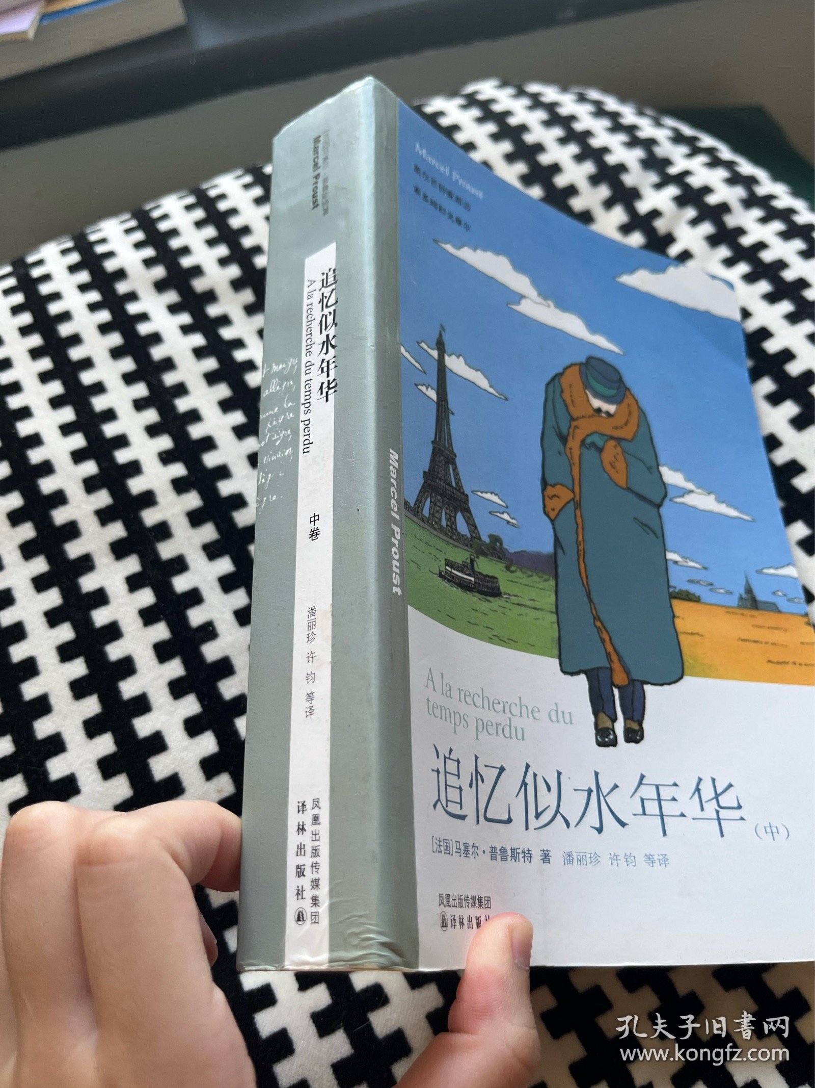 追忆似水年华 中卷