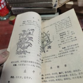 草药针灸治兽病